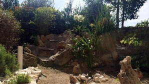 Un espace aménagé de façon naturelle, avec des rochers, des plantes et un élément aquatique.