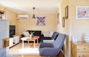 Fernseher, Kamin