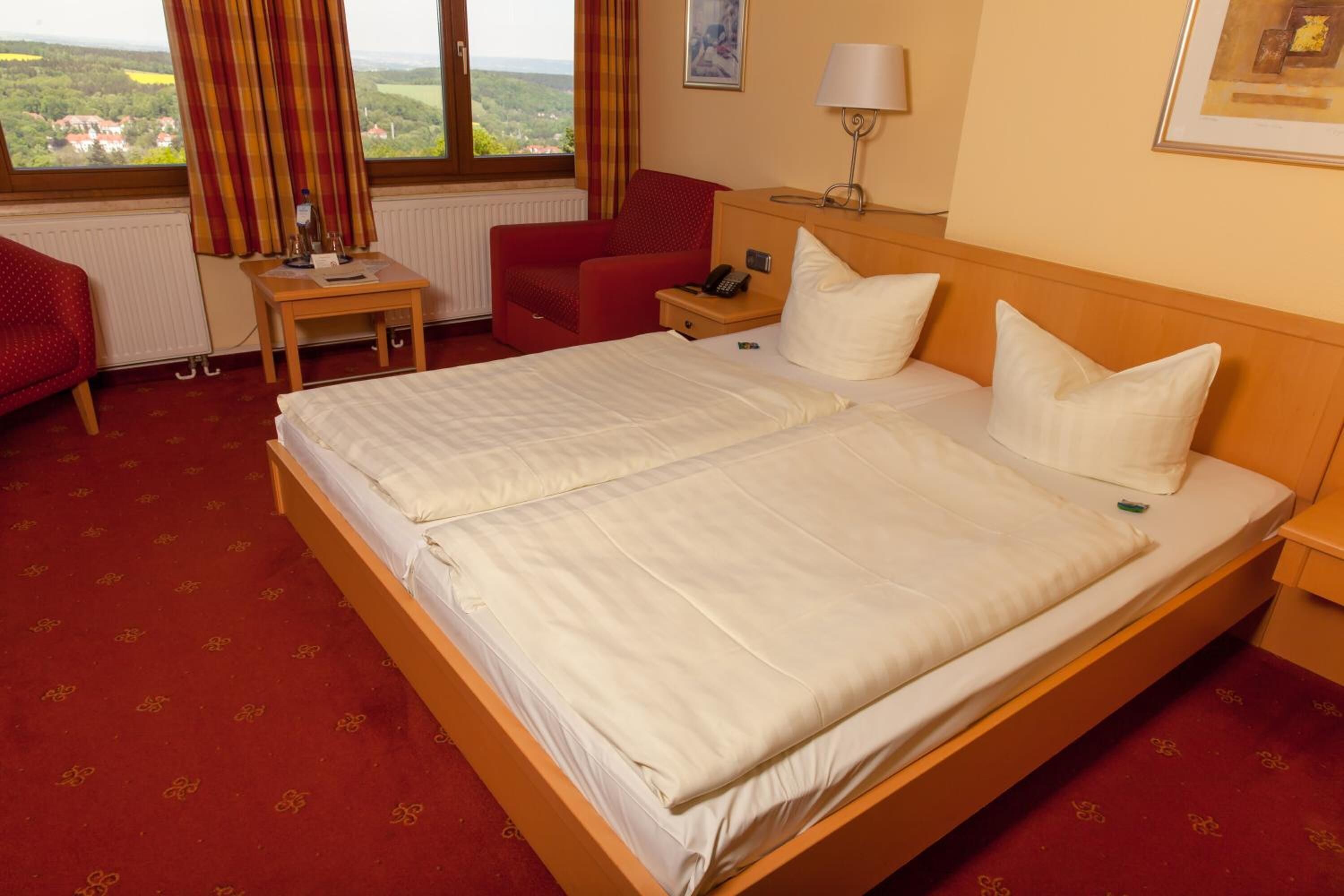 Ein Doppelbett mit weißen Laken, ein Holz-Kopfbrett, ein Nachttisch mit Lampe und Blick auf eine Landschaft durch ein mit Vorhängen versehenes Fenster.