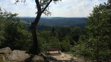A bench overlooking a forested valley with a distant view of hills.