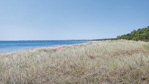 A coastal landscape with a beach, grassy dunes, and a clear sky.