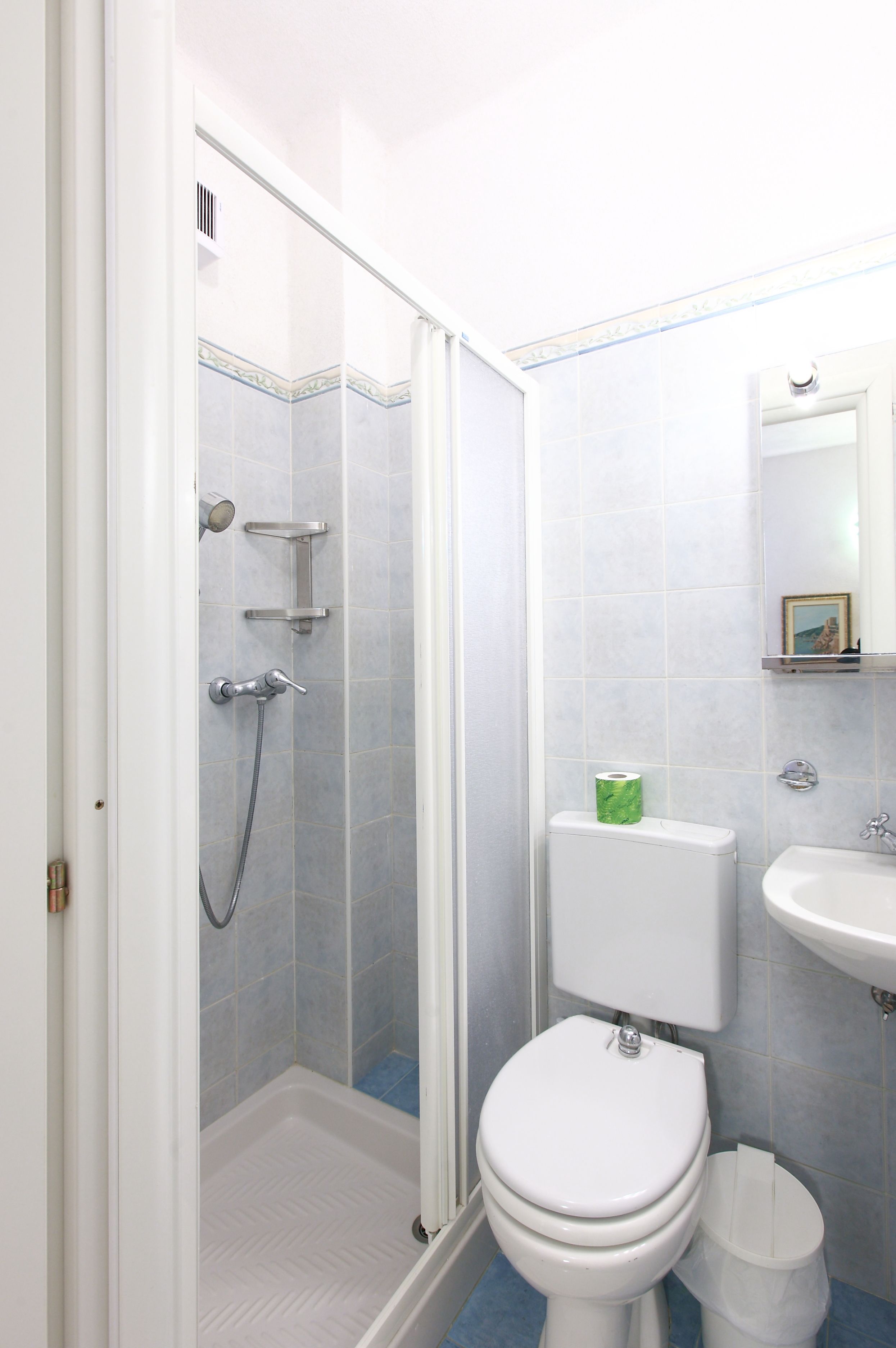 Une salle de bain avec douche, toilettes et lavabo.