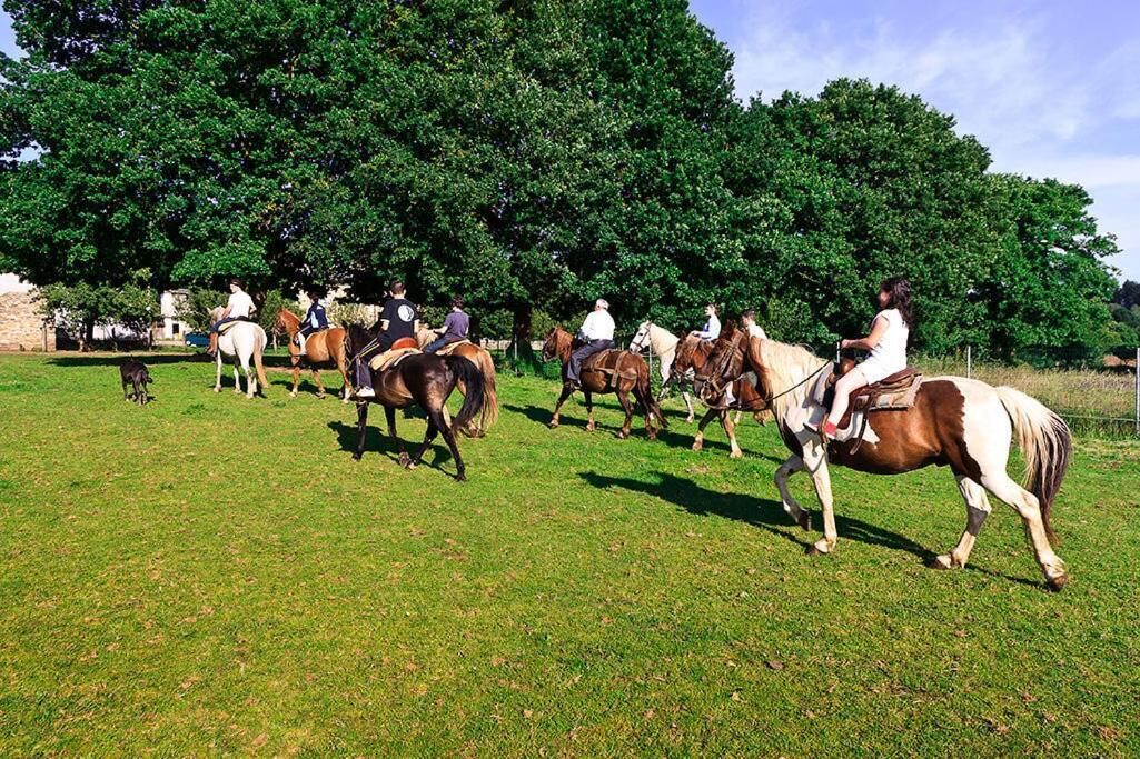 A group of people riding horses in a grassy field with trees in the background.