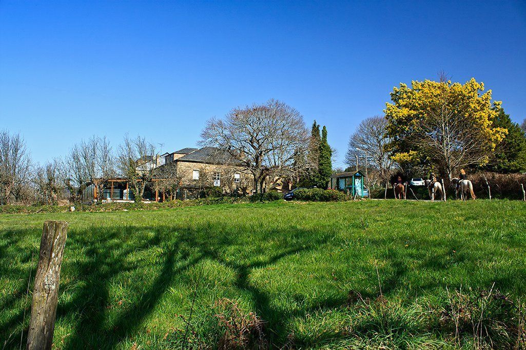 A rural property with a large house, a field, and a tree with yellow flowers.