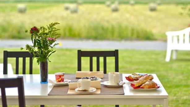 A table set outdoors with a view of a field, a vase of flowers, and a meal including bread and a cup. - Hotel Ayri (Medesano)