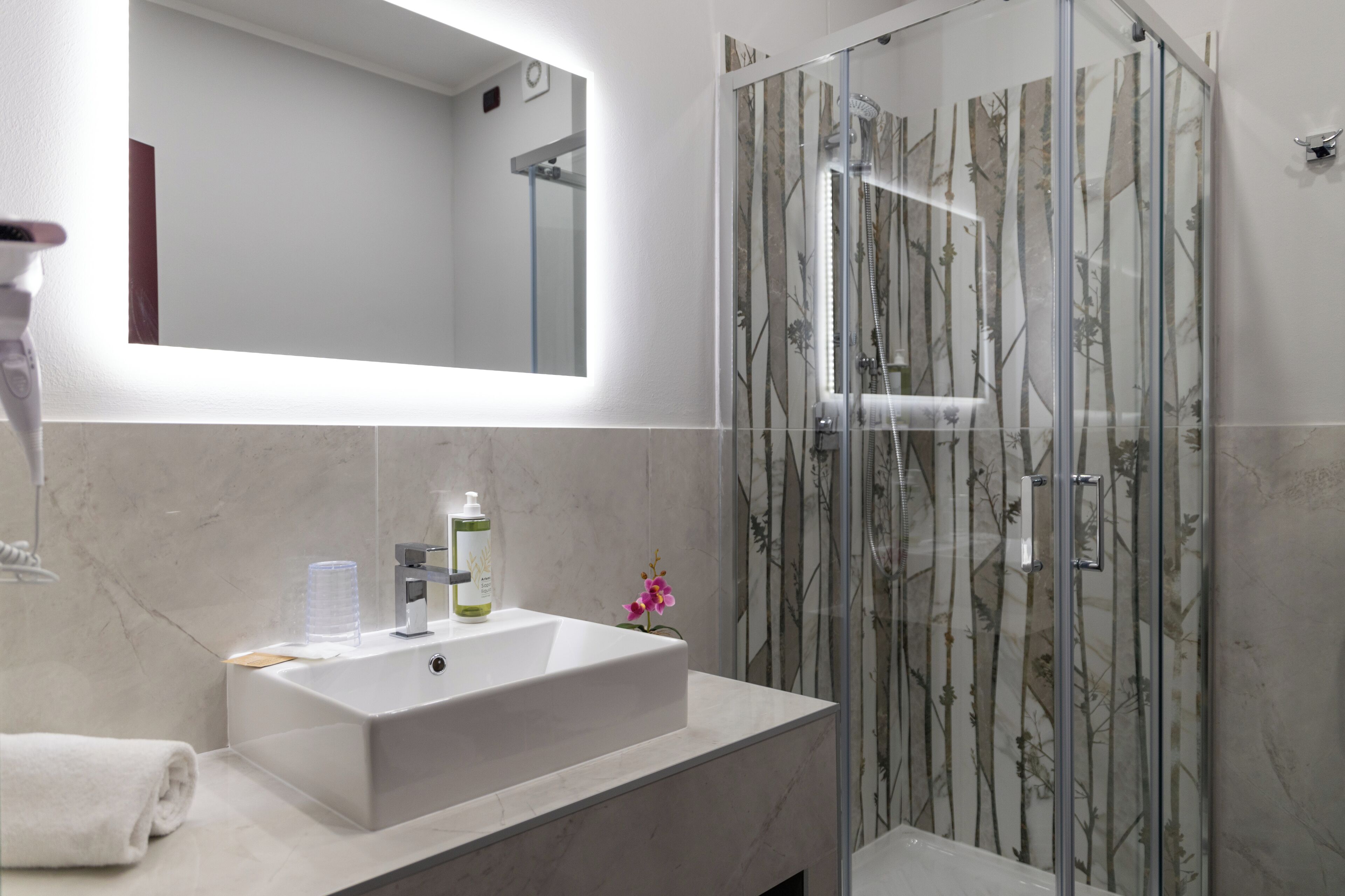 shower, free toiletries, hair dryer, bidet