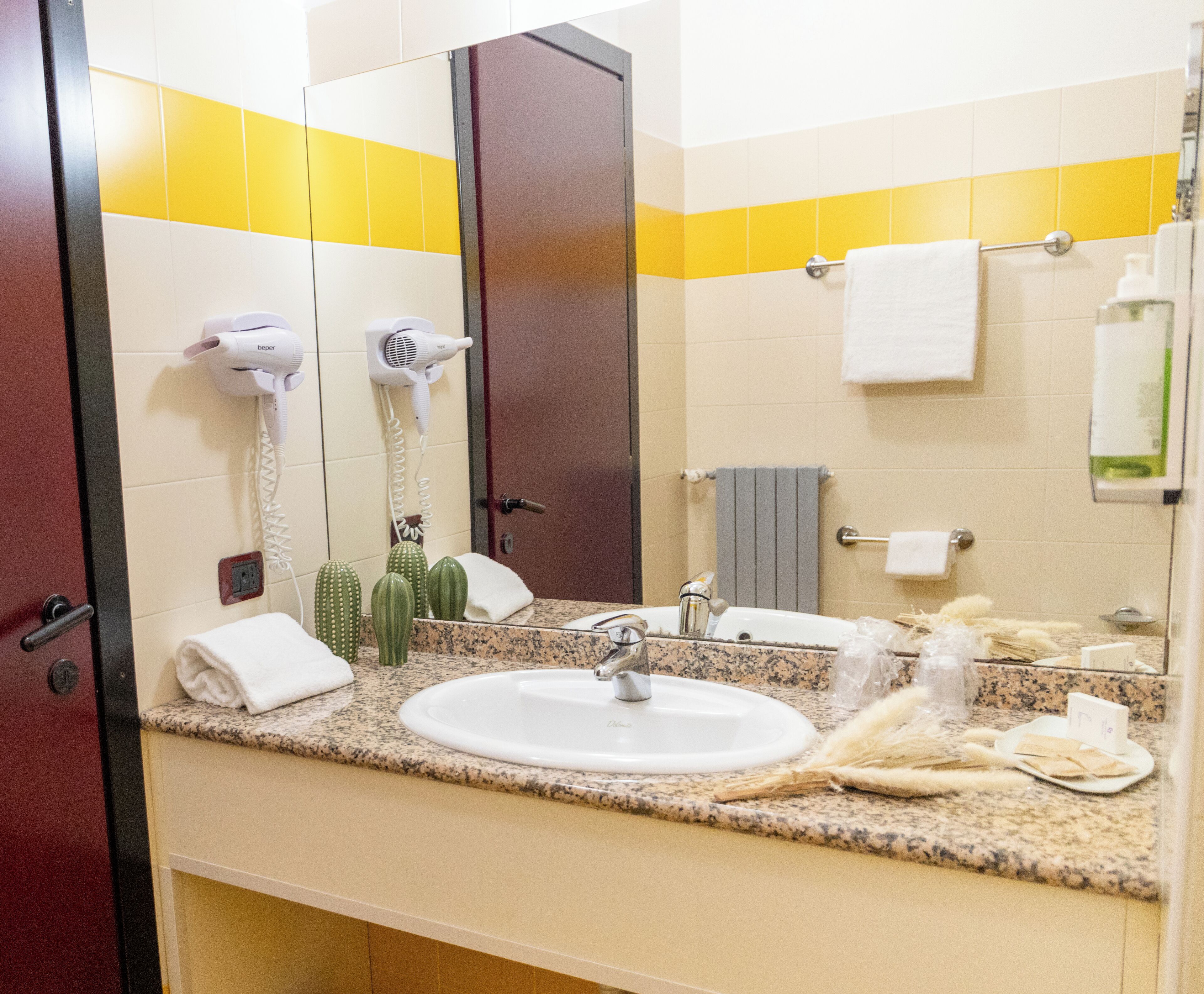 shower, free toiletries, hair dryer, bidet