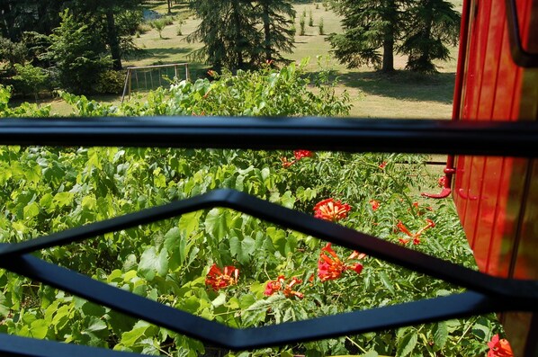 A view through a window with a metal frame, featuring a garden with green foliage and red flowers. - Chambres Téranga (Pradines)