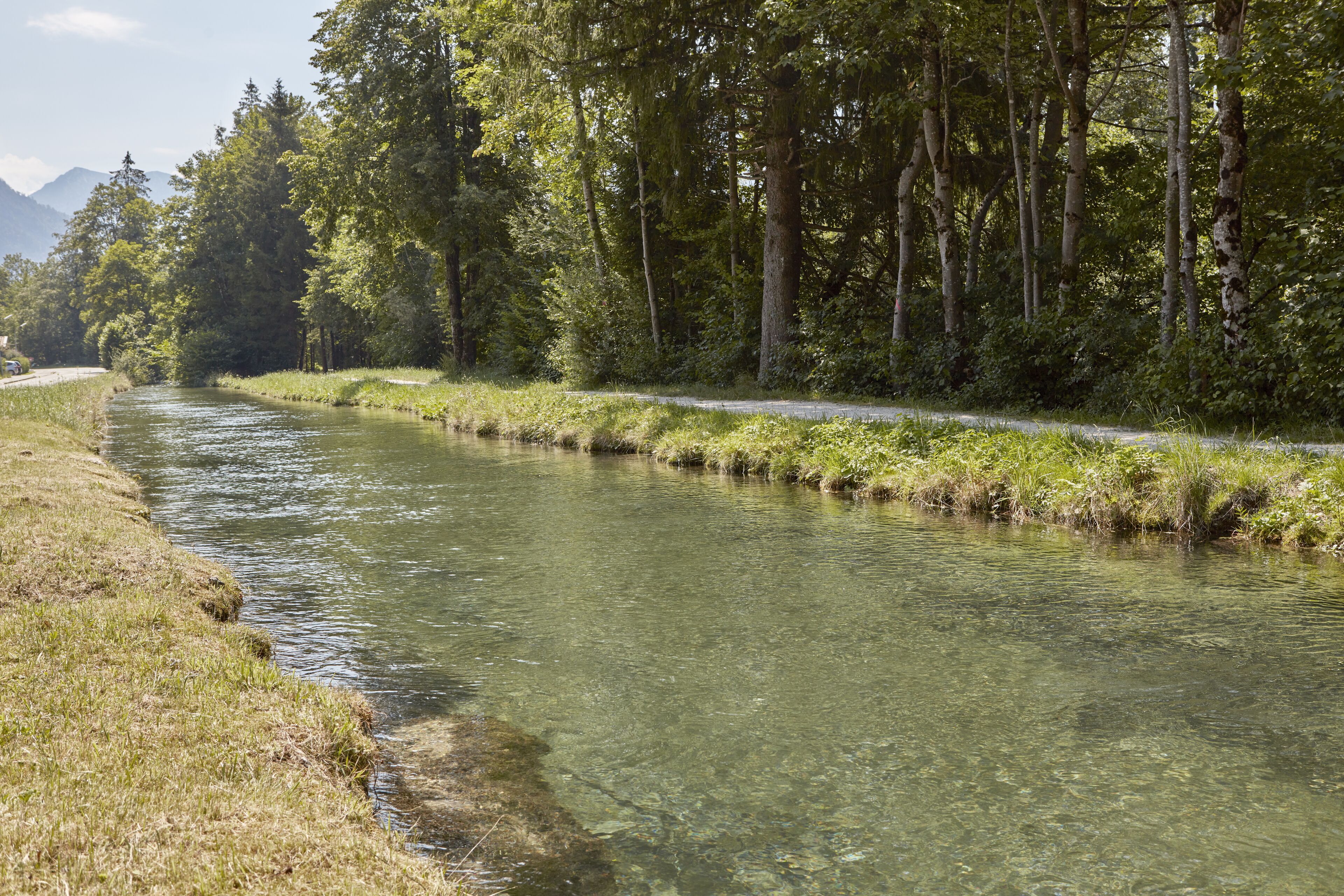A river with a narrow path alongside it, surrounded by dense trees and a clear sky.