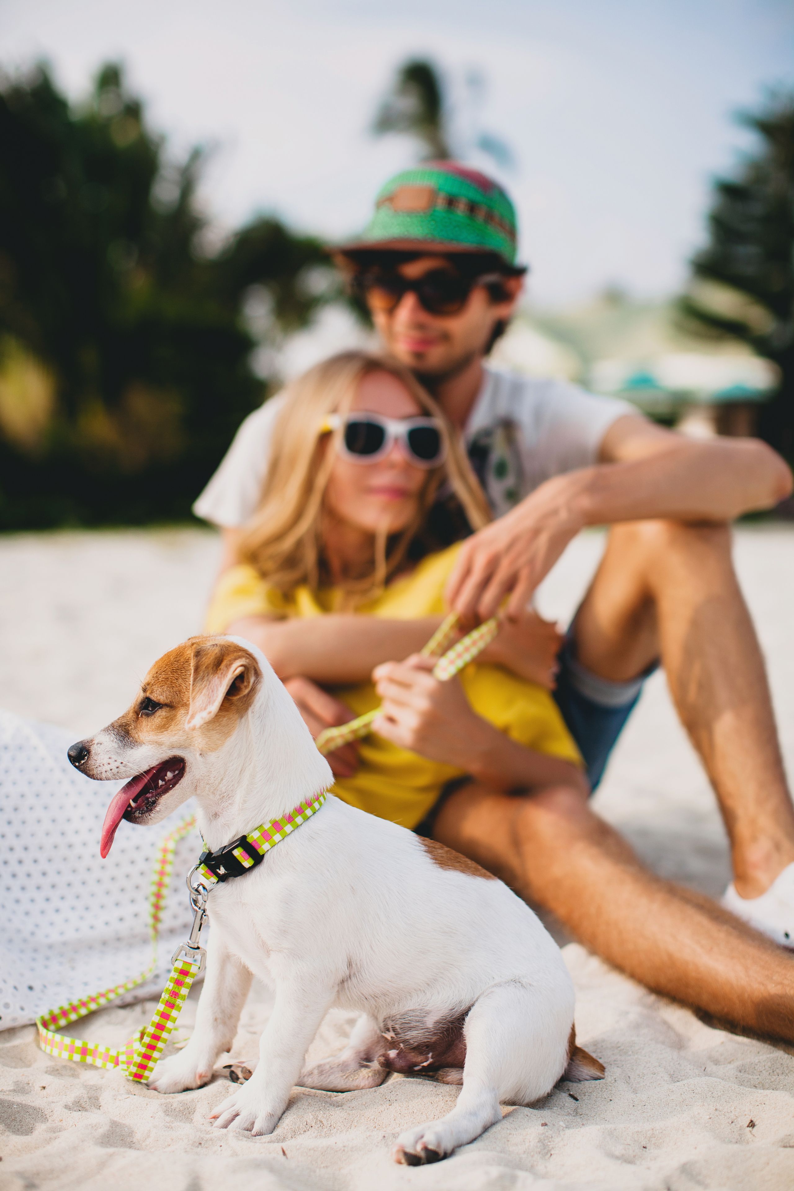 Un chien assis sur le sable, avec une laisse, une personne assise à côté de lui et une autre personne debout à l’arrière-plan.