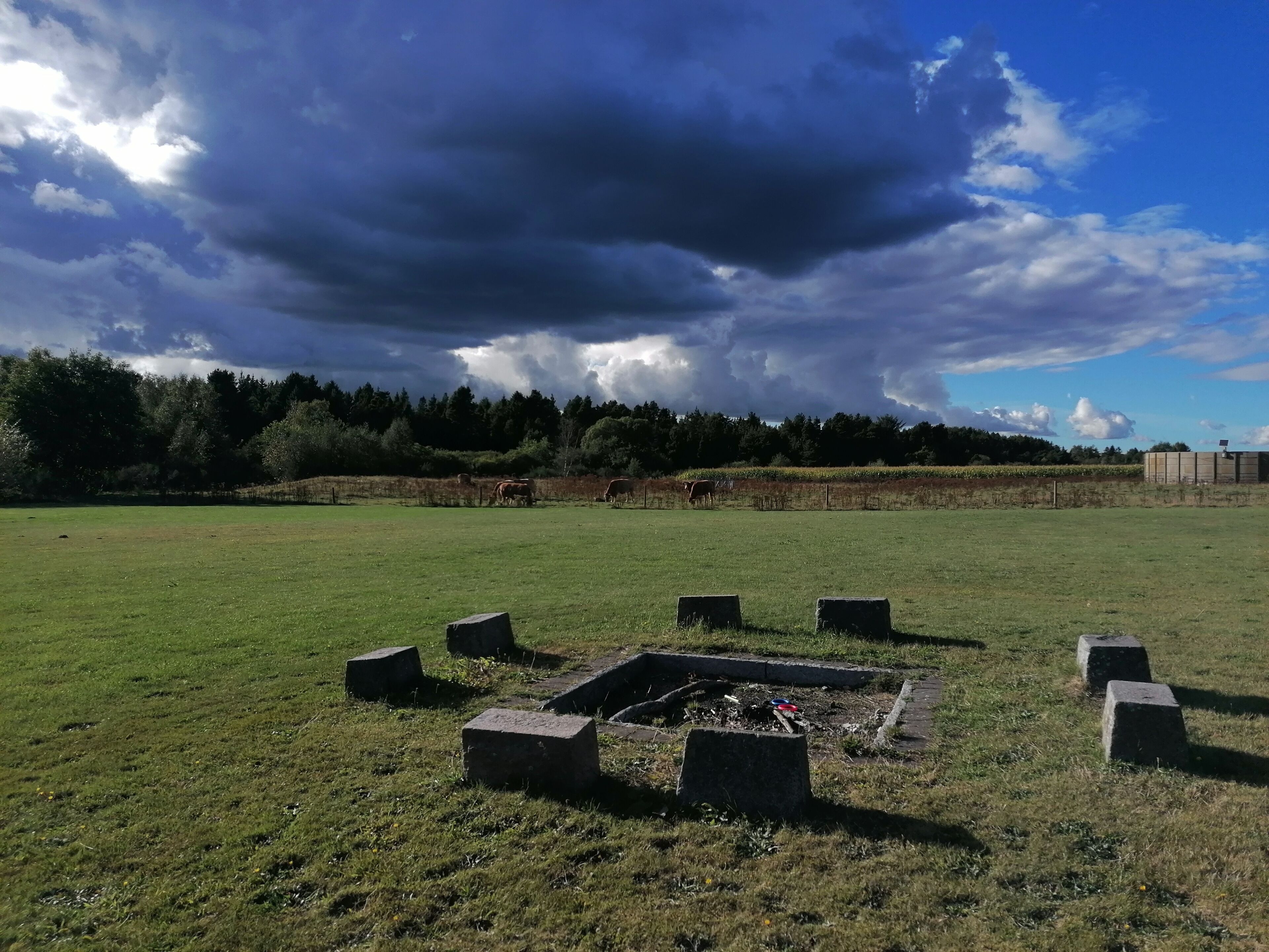 Un campo cubierto de hierba con un hoyo para fogatas rodeado de bloques de piedra.