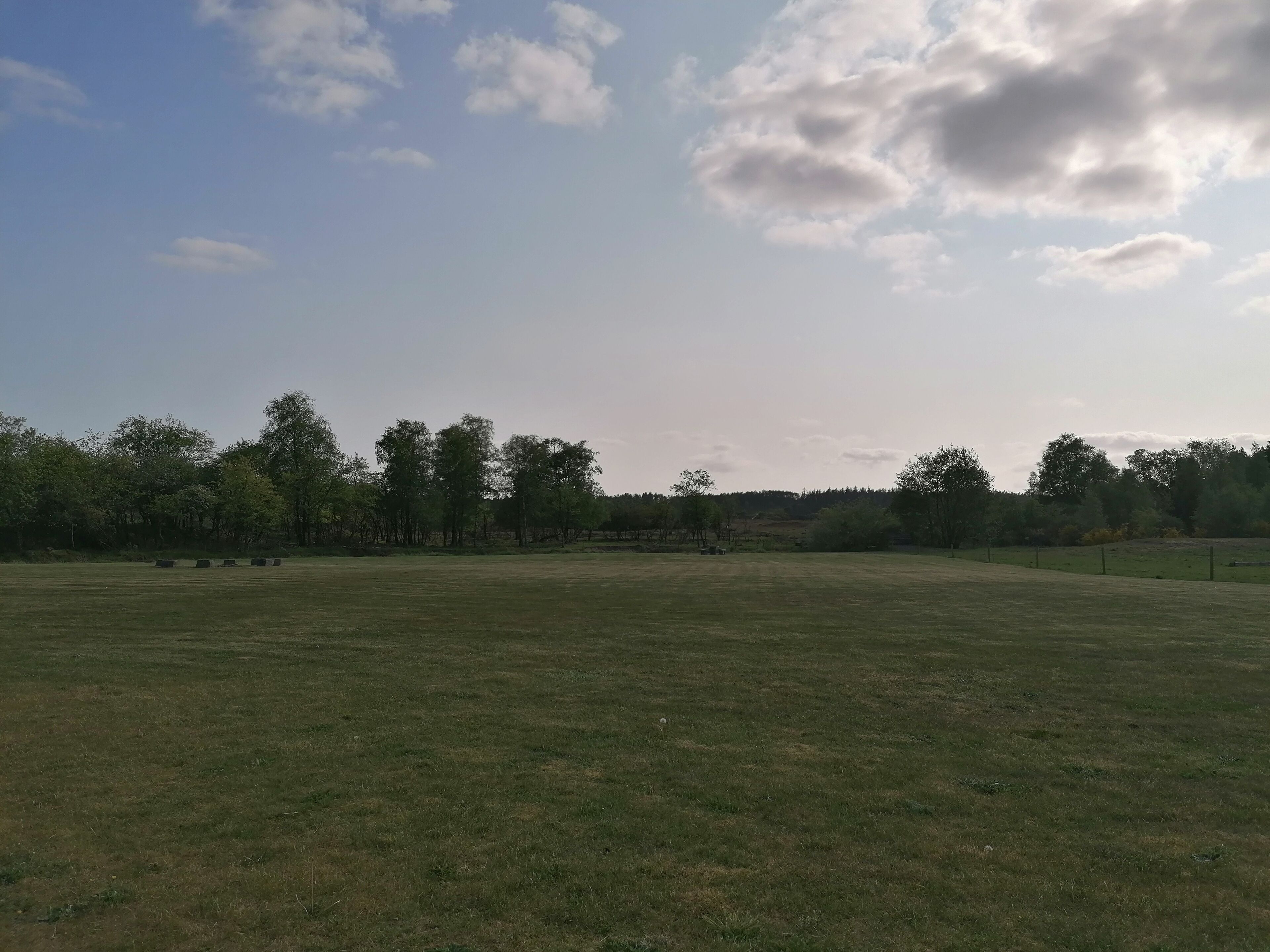 Een groot, open grasveld met bomen op de achtergrond en een heldere lucht.