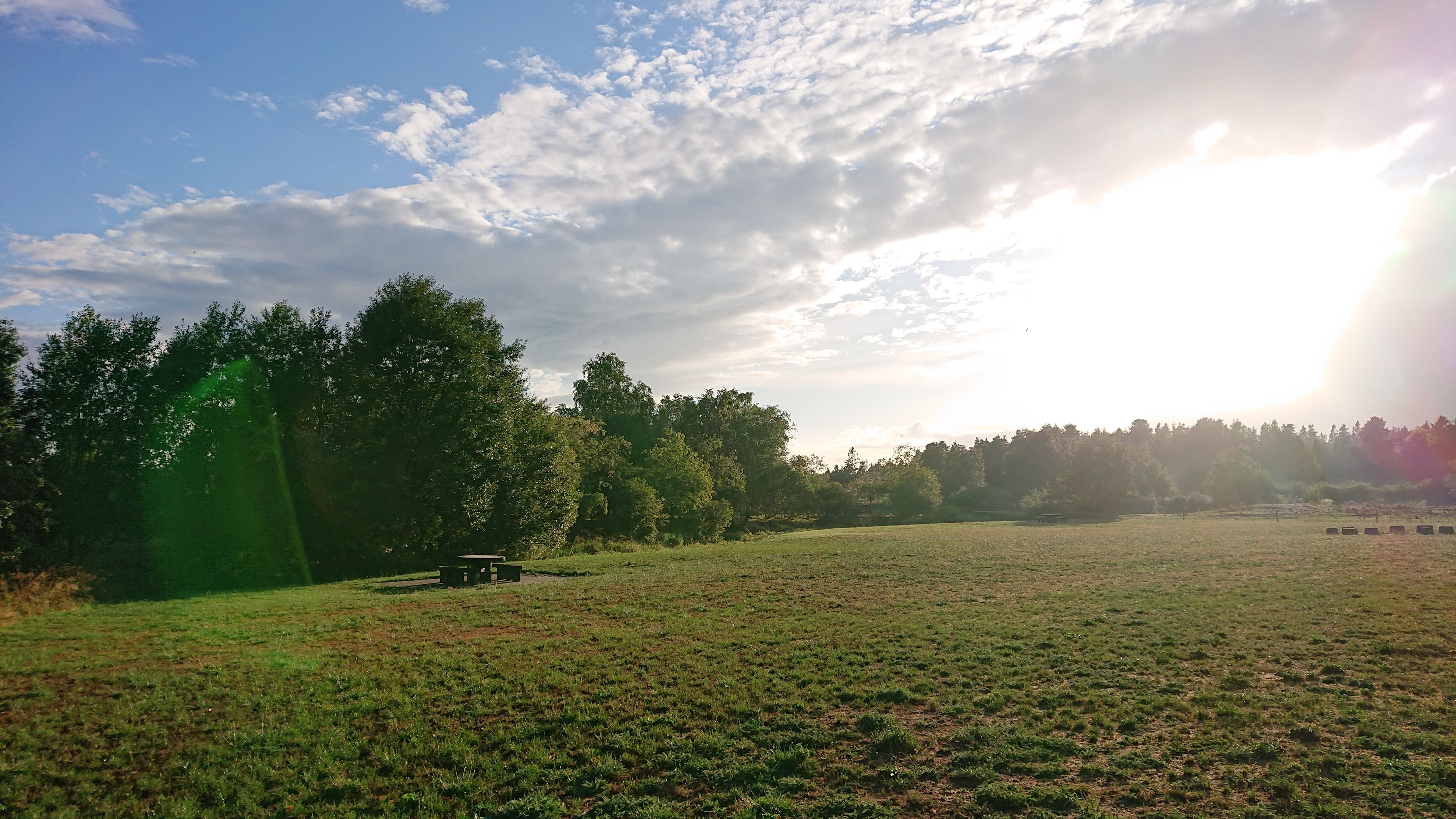 Ein grasbewachsenes Feld mit einem Picknicktisch und Bäumen im Hintergrund.
