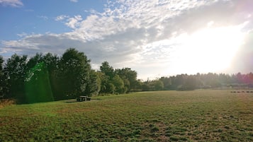 Ein grasbewachsenes Feld mit einem Picknicktisch und Bäumen im Hintergrund.