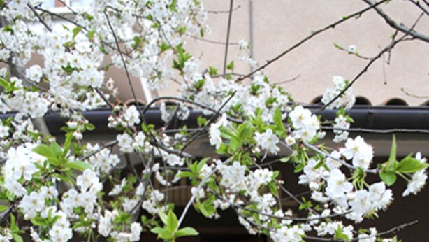 Property entrance - A casa di Gianna B&B (Rieti)