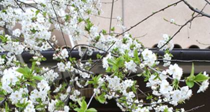 A casa di Gianna B&B