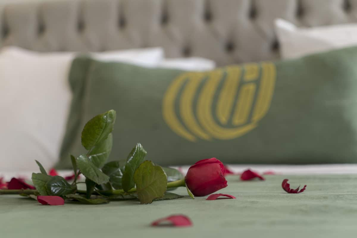Un lit avec un oreiller vert et une rose rouge posée dessus.