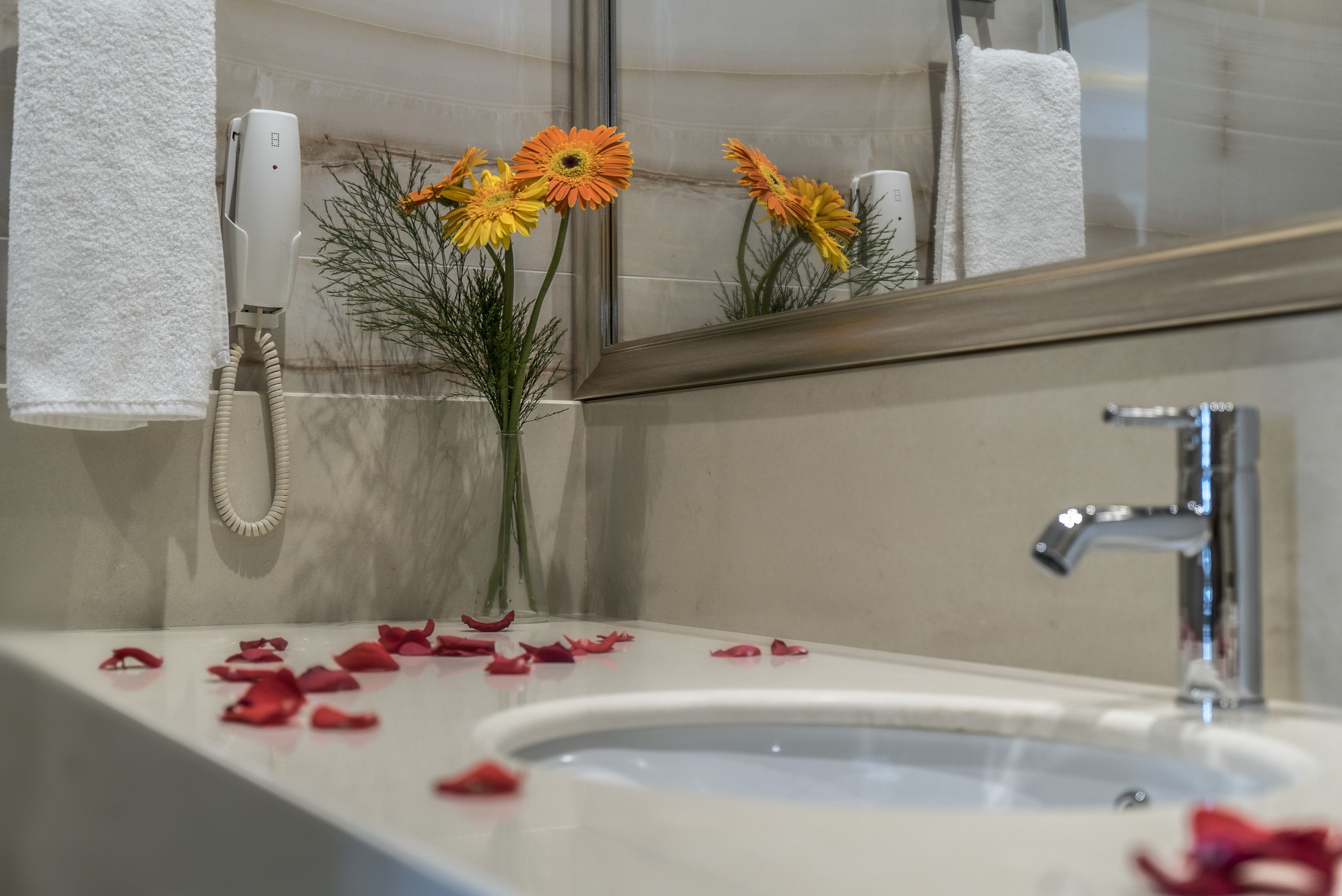 family suite, multiple beds | bathroom | shower, free toiletries, hair dryer, bathrobes