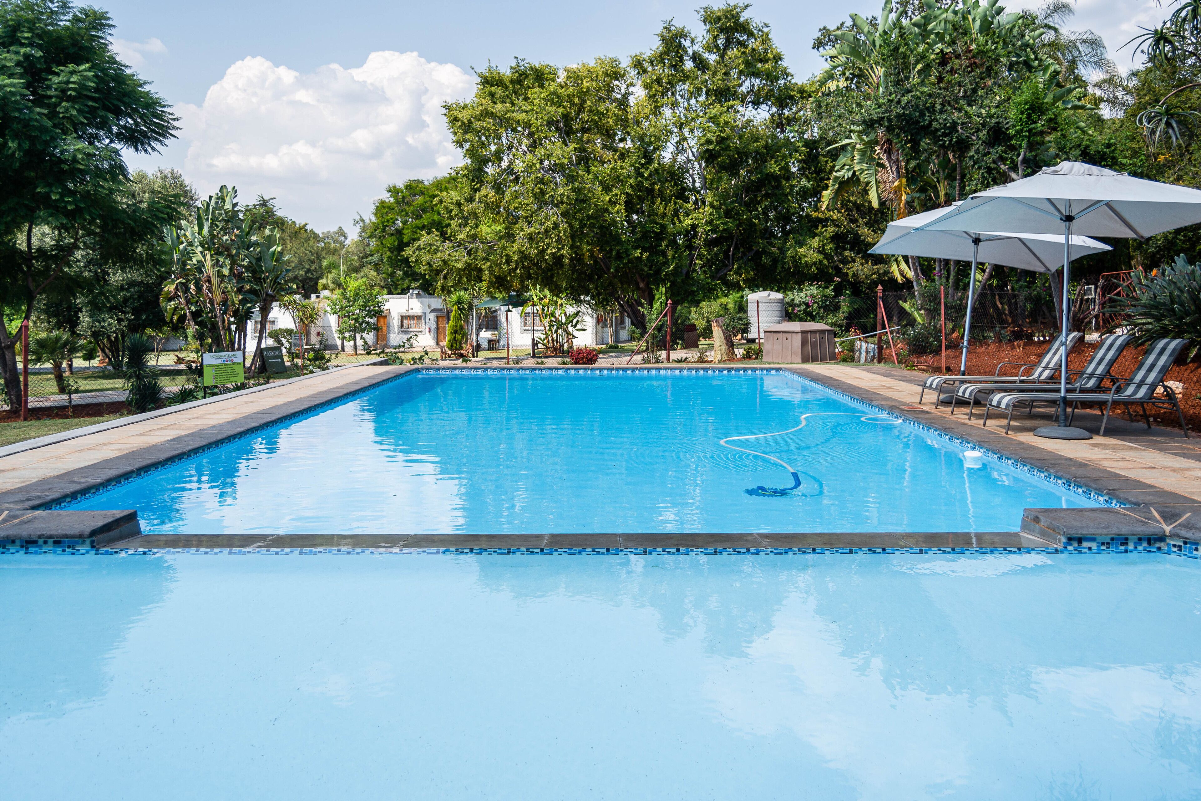 Outdoor pool, sun loungers