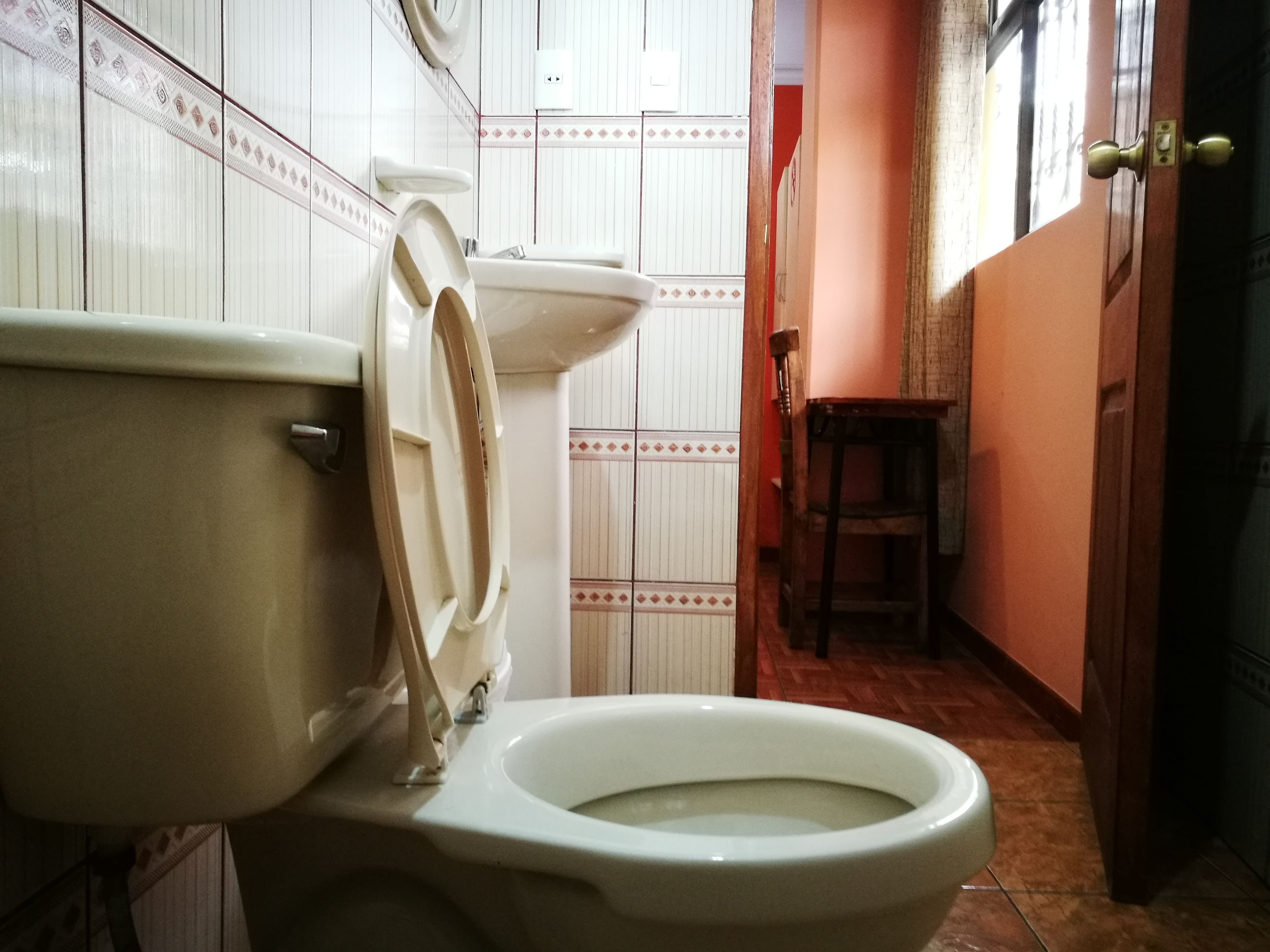 single room, private bathroom | bathroom | shower, rainfall showerhead, free toiletries, towels