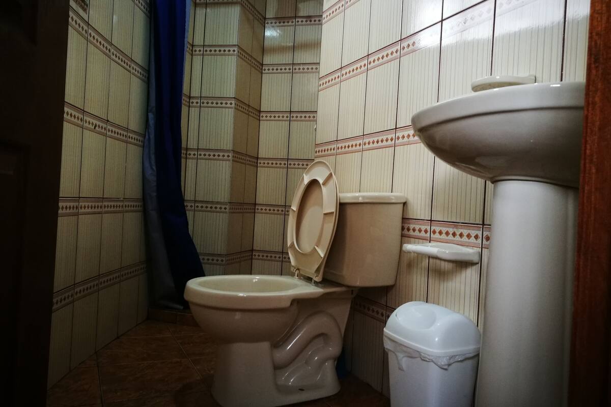 single room, private bathroom | bathroom | shower, rainfall showerhead, free toiletries, towels