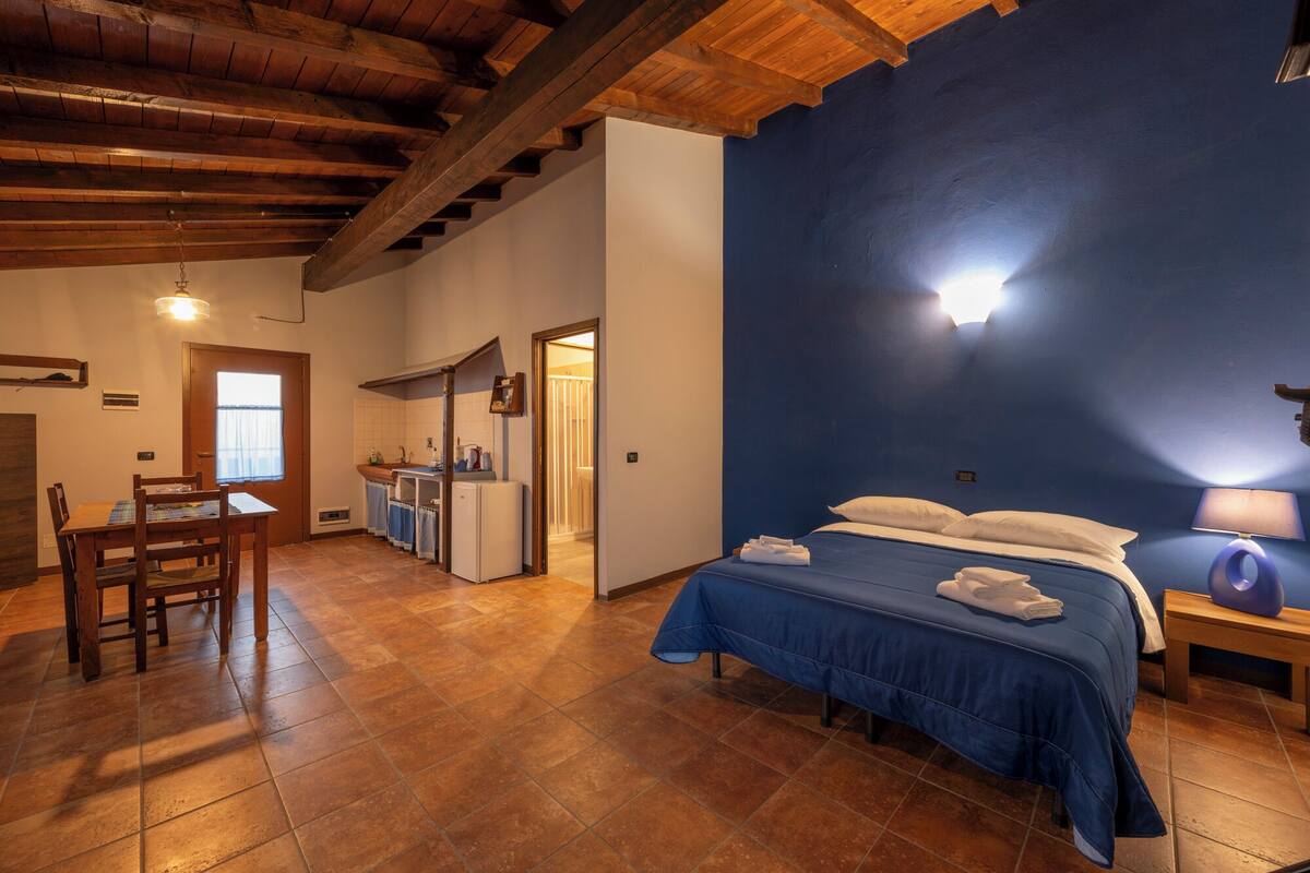 A room with a bed, a desk, a kitchenette, and a bathroom.