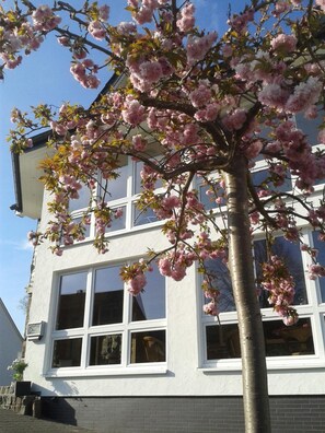 Exterior - Pension & Ferienwohnung Schweinsberg (Medebach)