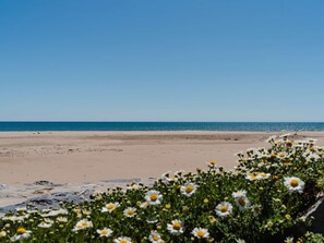 In Strandnähe