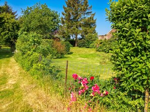 Property grounds - Homerez - House Mailly-Maillet (Mailly-Maillet)