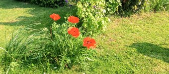 Homerez - House Mailly-Maillet