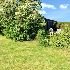 Un jardin avec un grand arbre, une haie et deux chaises blanches.