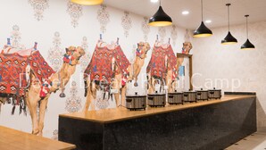 Un restaurante con una barra alargada, lámparas colgantes negras y un mural de camellos.