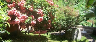Villa Maora