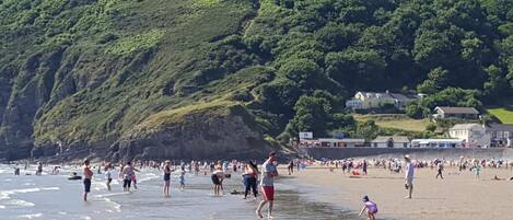 Strand
