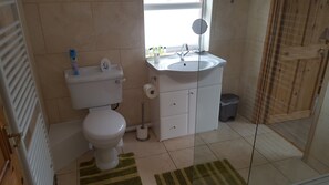 Une salle de bain avec des toilettes, un lavabo et un miroir. On y trouve également une poubelle et un radiateur.