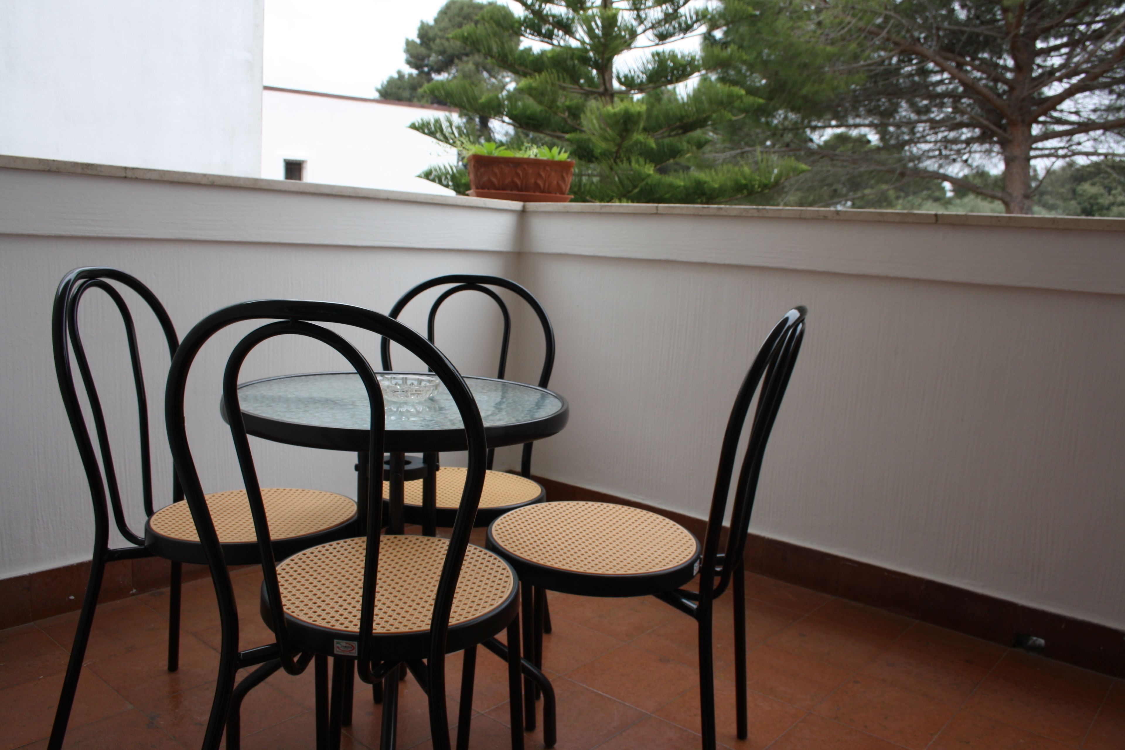 Foto - B&B Verdegiada