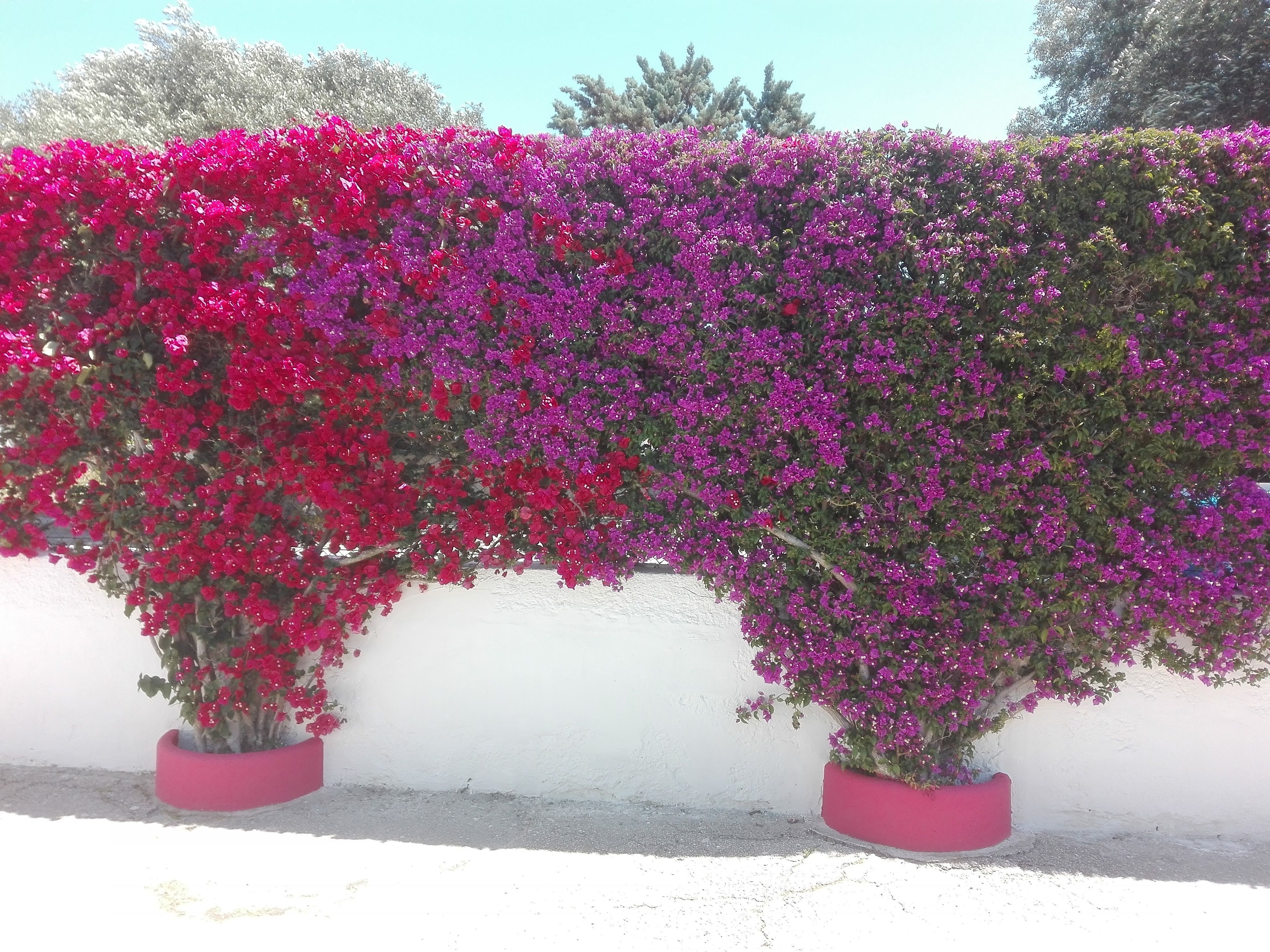 Foto - B&B Verdegiada