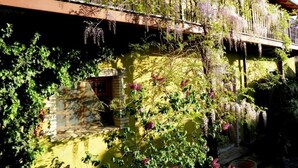 En bygning med en gul facade, dækket af grønne planter og lilla blomster.