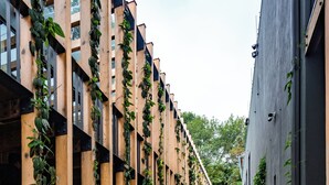A narrow pathway flanked by wooden structures with climbing plants, leading to a building with large windows. - Cinco Rodavento (Valle de Bravo)