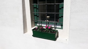 A window with a metal grid, a green planter with pink flowers, and a white wall. - B&B Al Gatto Nero (Borgo Valsugana)