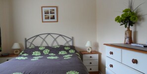 Phòng đơn Economy, 1 giường đôi | Bàn ủi/dụng cụ ủi quần áo, truy cập Internet không dây miễn phí 