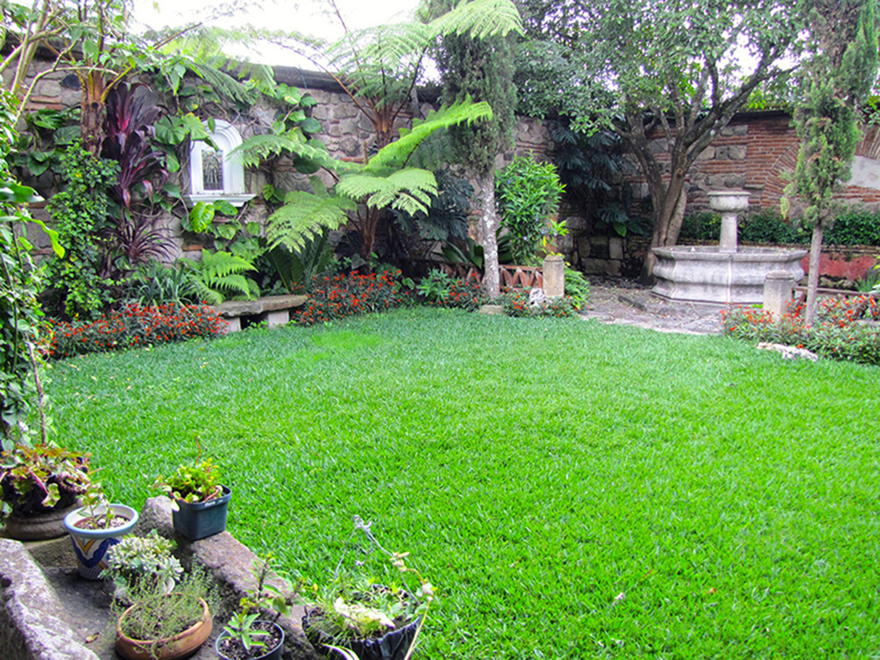 A well-maintained garden with a variety of plants and a stone wall.