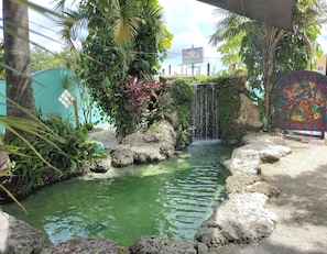 Una fuente de agua con cascada, rodeada de rocas y vegetación, con un letrero que indica 'HOOSVILLE HOTEL' al fondo.