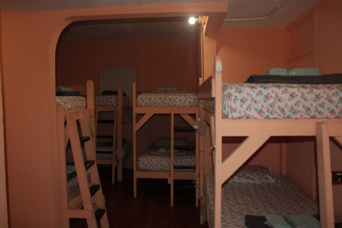 A room with bunk beds, a wooden ladder, and a small desk.