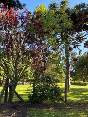 Property grounds - Estancia Renacimiento (Atlantida)