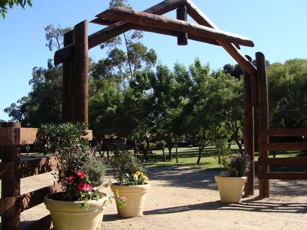 Property grounds - Estancia Renacimiento (Atlantida)