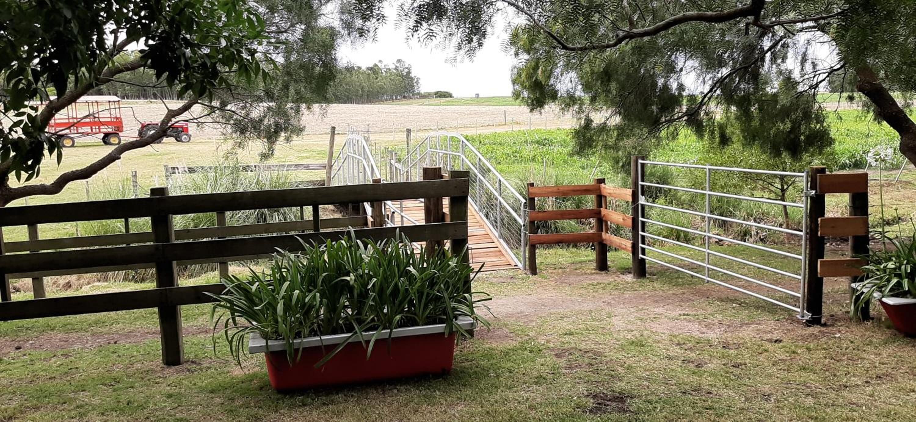Un banco de madera, una reja metálica y un tractor rojo en un entorno rural.