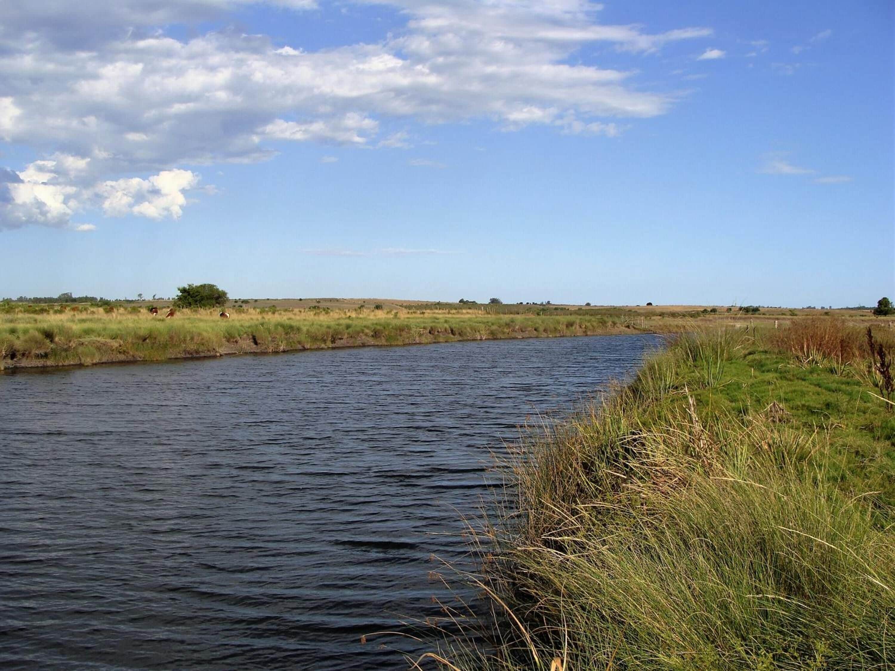 A calm river with grassy banks and a clear sky.