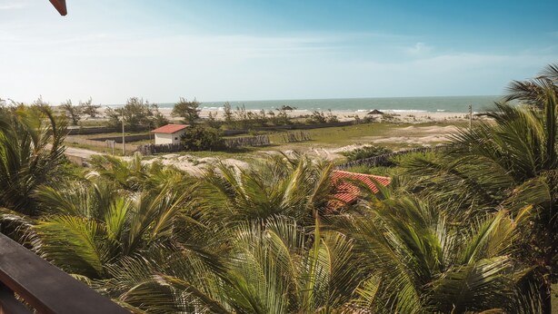 Vista desde un balcón con una playa, palmeras y cielo despejado.