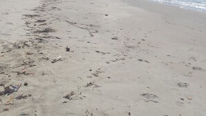Una playa con una estructura de techo de paja y cielo despejado.